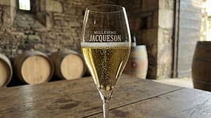 Home 16 calice di jacquesson millésimé