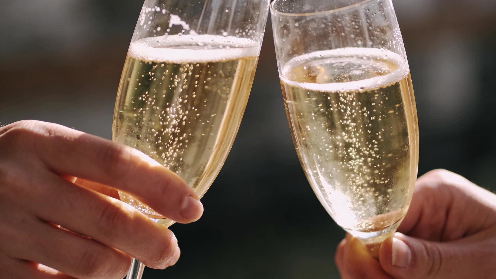 Storia Del Vino 41 un close up molto stretto su mani che reggono calici di vino frizzante giallo paglierino tenue mentre brindano