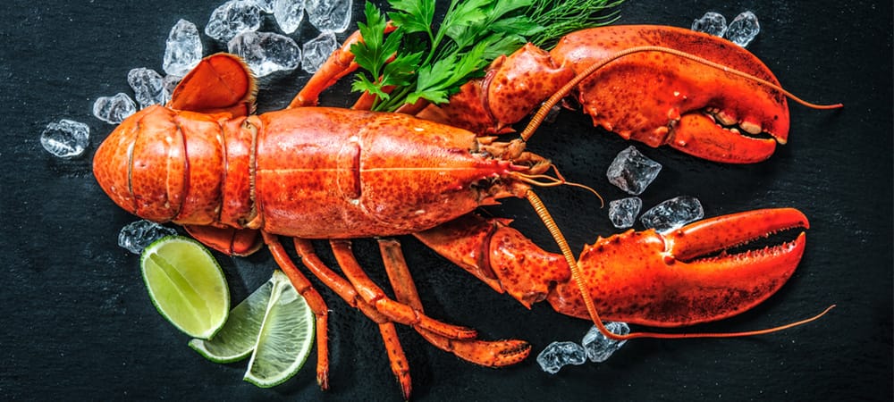 Abbinamento gastronomico Cruciali Strategie: 5 Motivi per cui Beaufort André Ridefinisce lo Champagne astice