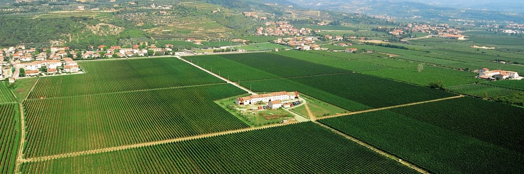 Tommasi Viticoltori: Oltre Un Secolo di Eccellenza in Valpolicella 2 la Tenuta Tommasi