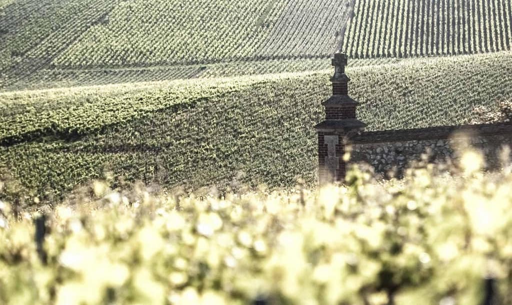 Vigneti e territorio 5 Esclusivi Champagne di Françoise Bedel & Fils: Strategie Biodinamiche per Bollicine d’Eccellenza Bereche et Fils