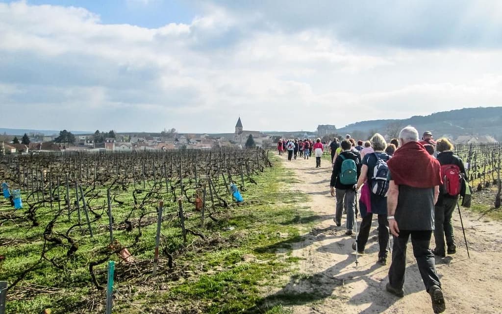 3 Abbinamenti 1 Champagne: Vini Aubry, l'Eccellenze della Champagne 2 Passeggiata tra le vigne di Jouy les Reims 2