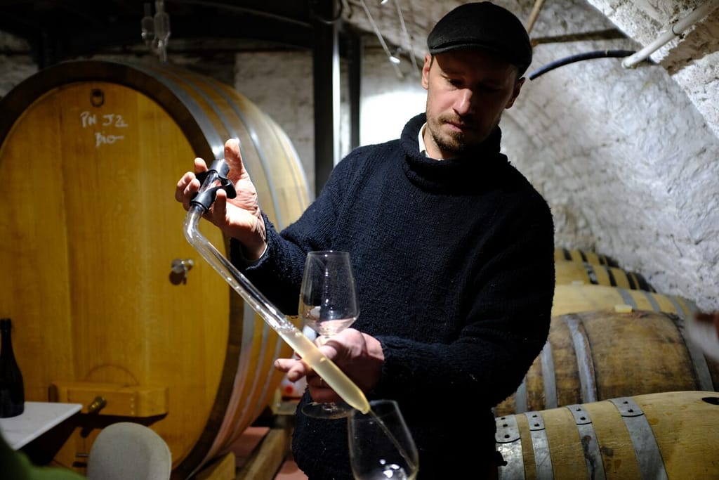 Vigneti e territorio Cruciali Strategie: 5 Motivi per cui Beaufort André Ridefinisce lo Champagne Amaury Beaufort al lavoro