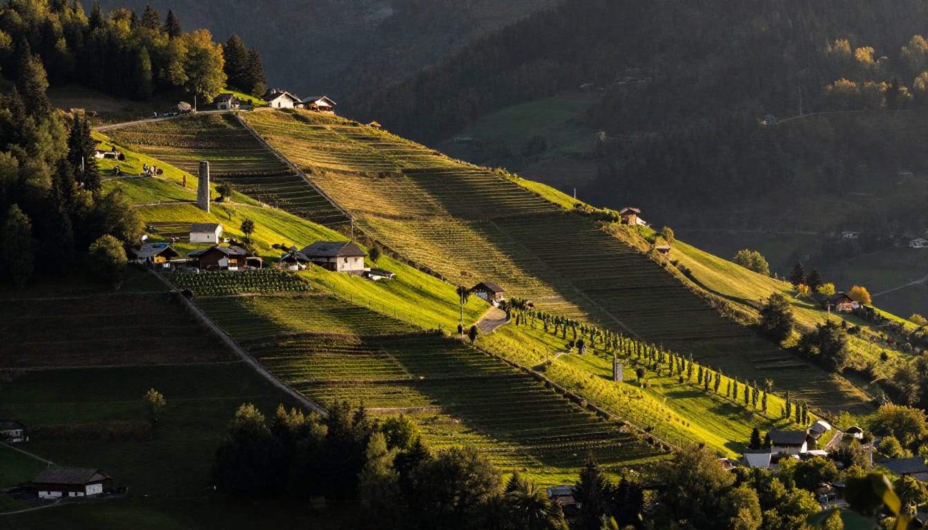 Vigneti e territorio Nino Negri: l’arte della viticoltura eroica in Valtellina Vigneti e territorio Nino Negri: l’arte della viticoltura eroica in Valtellina
