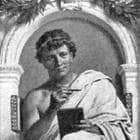 Storia Del Vino 63 albio tibullo