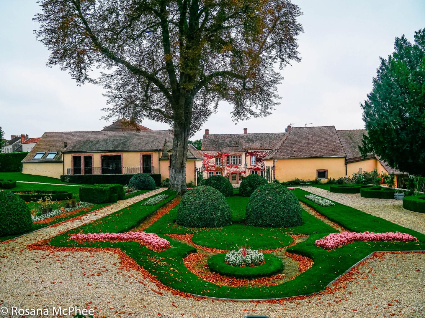 2 al prezzo di 1: Billecart-Salmon Storie di Bollicine Prestigiosi 1 ©Rosana McPhee hotandchilliBlog Maison Billecart Salmon Champagne