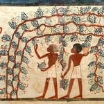 Le origini del vino sono antichissime 4 storia del vino Egizi Vino