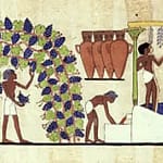 IL VINO NELLA STORIA 2 storia del vino in egitto