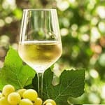 Ci sono eccezioni nel bere il vino bianco a tavola? 2 abbinanemti-divieti-vino-bianco-tavola