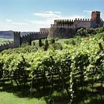 Quali sono i vini del Veneto? 2 vigneti-in-veneto-vini-del-veneto