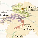 5 Esclusivi Champagne di Françoise Bedel & Fils: Strategie Biodinamiche per Bollicine d'Eccellenza 3 Mappa dei vini della Champagne