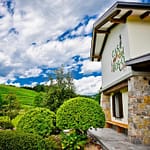 Venica & Venica: per Comprendere i Colli Orientali del Friuli 3 Venica&Venica Wine Resort a Dolegna