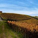 Barbaresco DOCG 3 barbaresco-piemonte