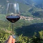 La Guida Essenziale ai 12 Vini dei Colli Tortonesi: Un Tesoro Inaspettato 3 colli-tortonesi-piemonte-vino-rosso