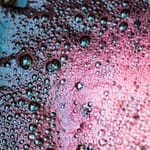 Vinificazione 5 fermentazione alcolica dei vini rossi