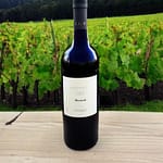 Pinot Nero 1 pinot nero