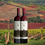 Rosso delle colline lucchesi 1 Rosso delle colline lucchesi