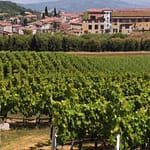 Auslese 4 auslese