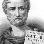 Plinio il Vecchio 3 plinio il vecchio roma civiltà