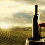 Chi ha portato il vino in Italia? 4 vino in Italia