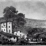 Ribolla Gialla 4 Ribolla Gialla