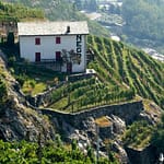 Nino Negri: l'arte della viticoltura "eroica" in Valtellina 6 Cantina. Nino Negri