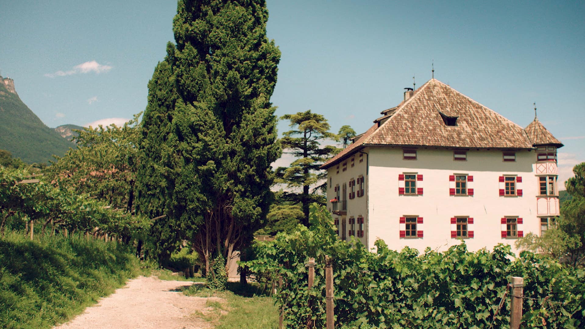 Blog 42 Castel-Ringberg-Kaltern