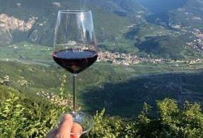 Storia Del Vino 39 colli-tortonesi-piemonte-vino-rosso