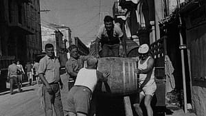 Home 13 vignerons al lavoro negli anni '40
