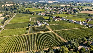 Home 13 Vigneti e territorio Deutz: Metodi Tradizionali per Bollicine d’Eccellenza