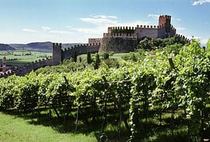 Vini del Piemonte 6 castelli piemontesi e vigne e vini