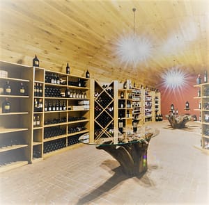 Come si degustano i vini? 4 ambienti degustazione vini