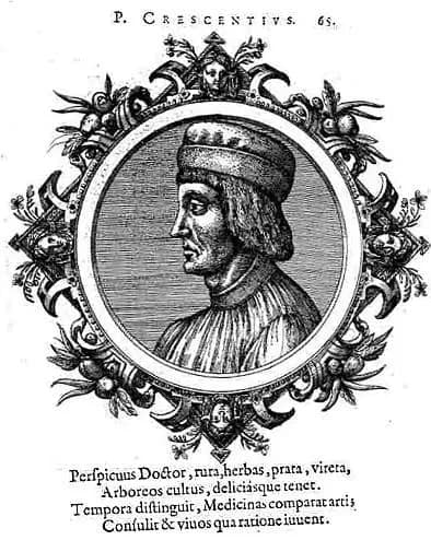 Storia Del Vino 67 Pietro de Crescenzi agronomo italiano vino wine shop online