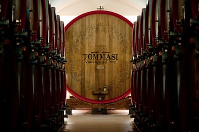 Tommasi Viticoltori: Oltre Un Secolo di Eccellenza in Valpolicella 1 Tommasi Magnifica
