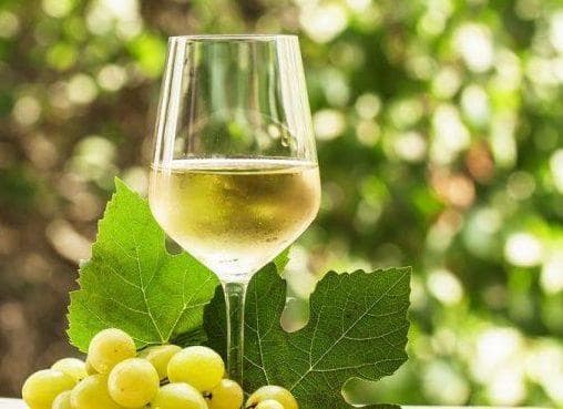 Storia Del Vino 41 abbinanemti-divieti-vino-bianco-tavola