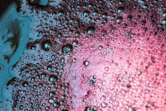 Storia Del Vino 50 fermentazione alcolica dei vini rossi