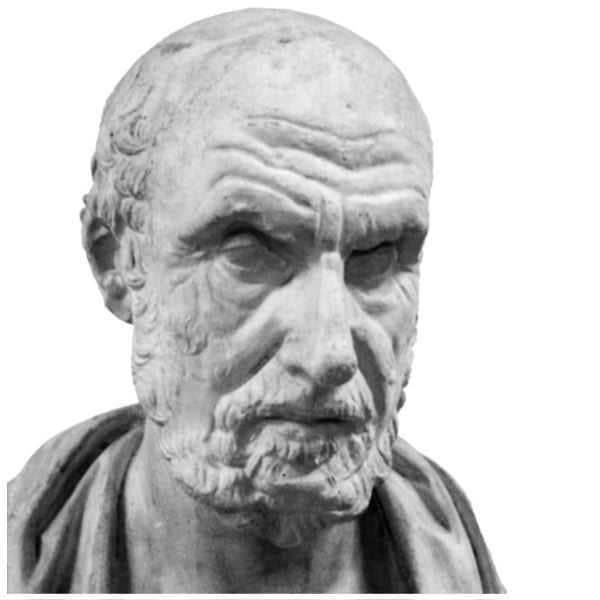 Storia Del Vino 58 ippocrate11