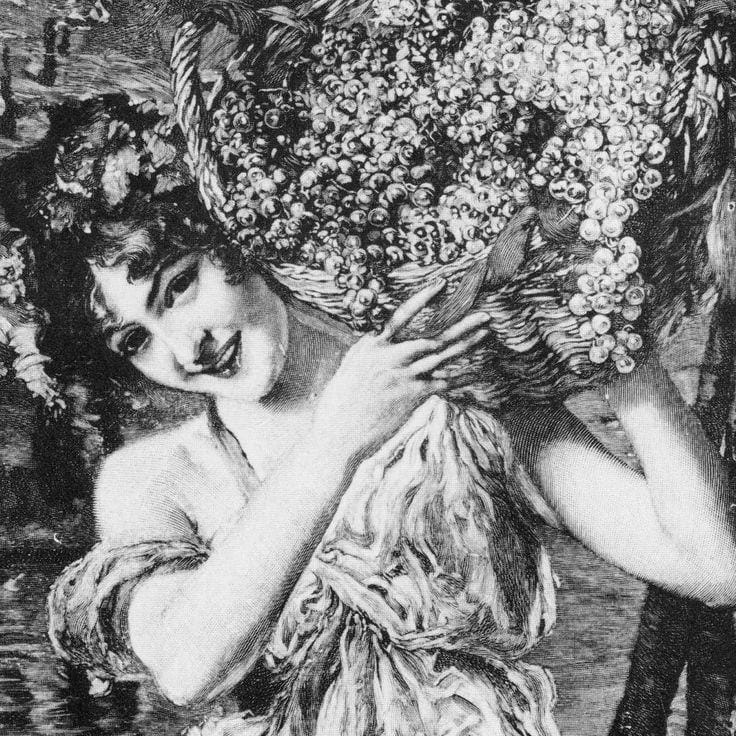 Storia Del Vino 55 vini friuli venezia giulia