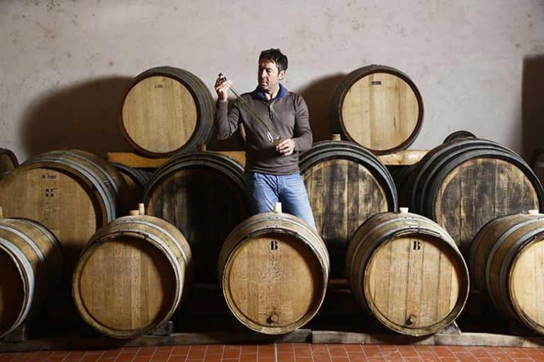 Agrapart & Fils: Espressione Essenziale di Terroir dalla Champagne 1 CHAMPAGNE AGRAPART