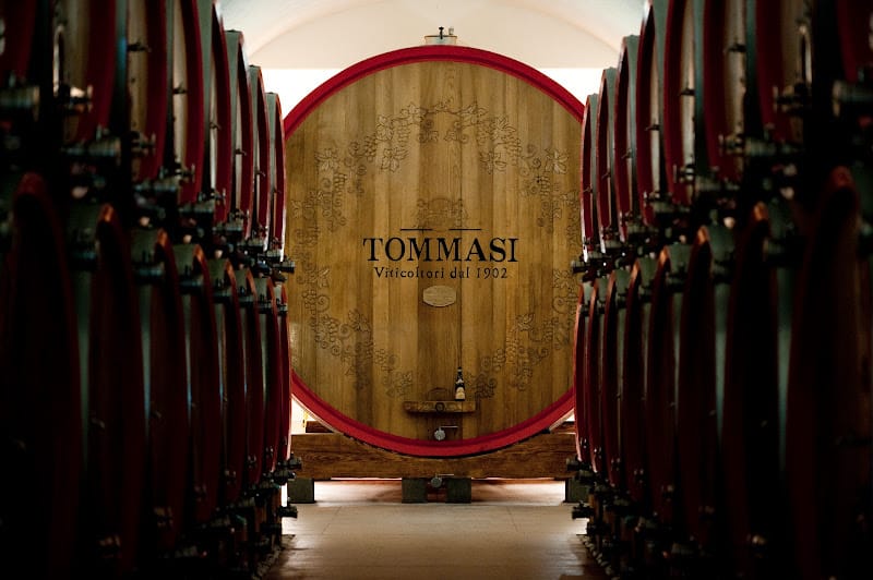 Tommasi Viticoltori: Oltre Un Secolo di Eccellenza in Valpolicella 1 Tommasi Magnifica