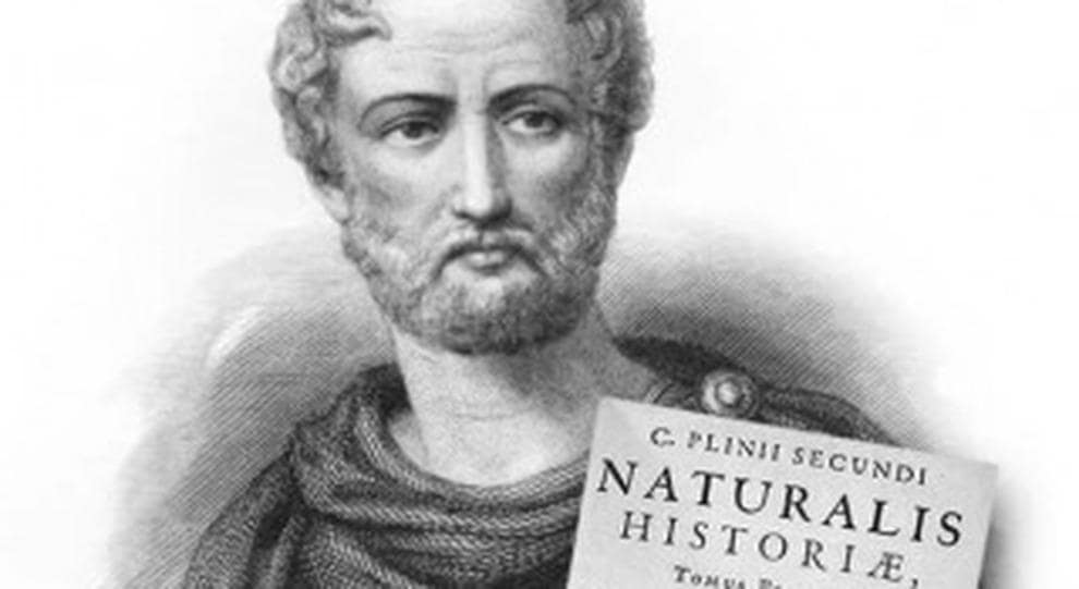 Storia Del Vino 60 plinio il vecchio roma civiltà